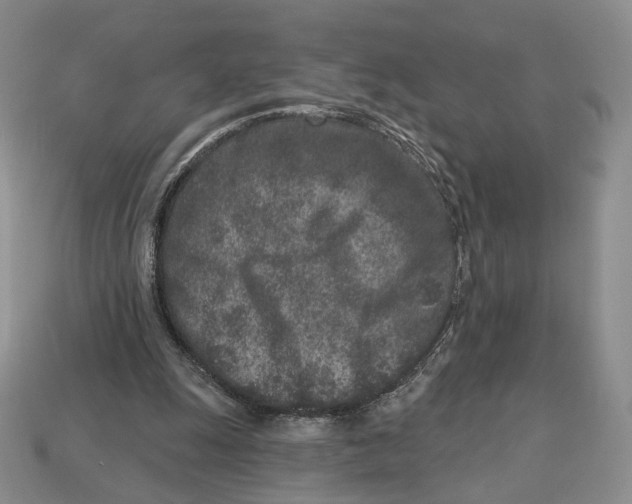 X0000112940247200909211139