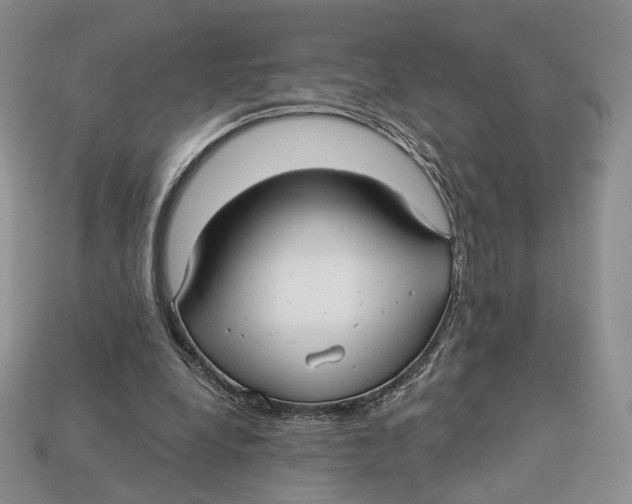X0000112940248200909211139