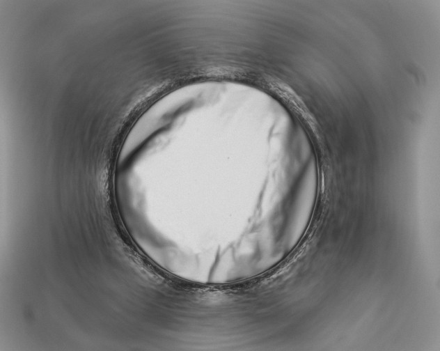 X0000112940249200909211139