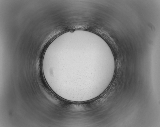 X0000112940250200909211139