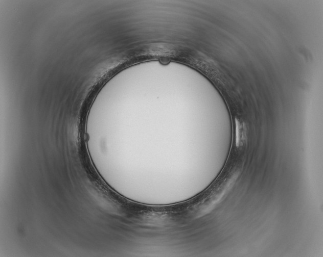 X0000112940252200909211139