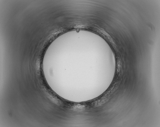 X0000112940257200909211140