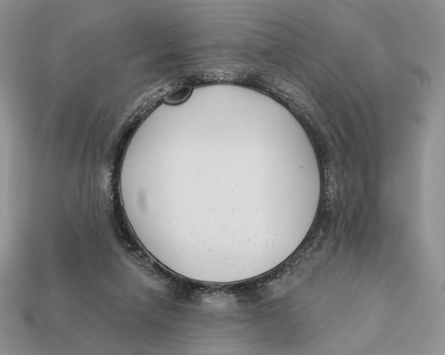 X0000112940258200909211140
