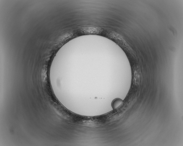 X0000112940259200909211140
