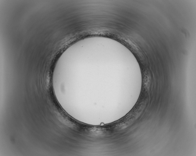 X0000112940261200909211140
