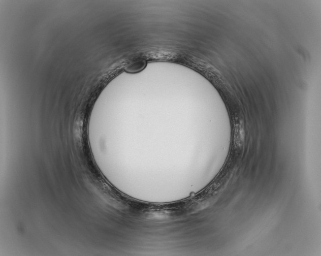 X0000112940263200909211140