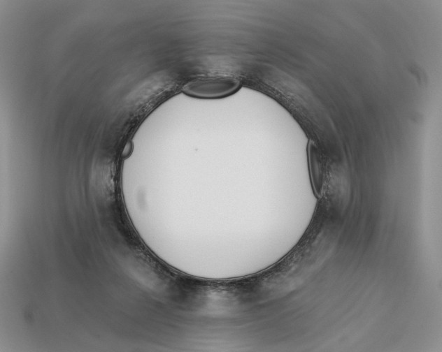 X0000112940264200909211140