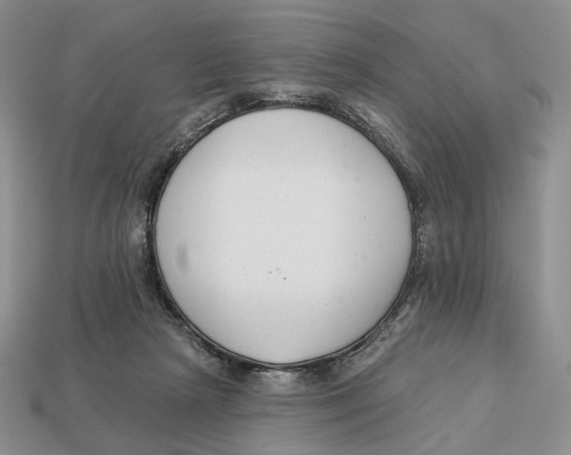 X0000112940265200909211140