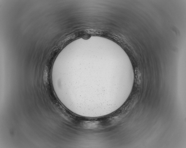 X0000112940266200909211140