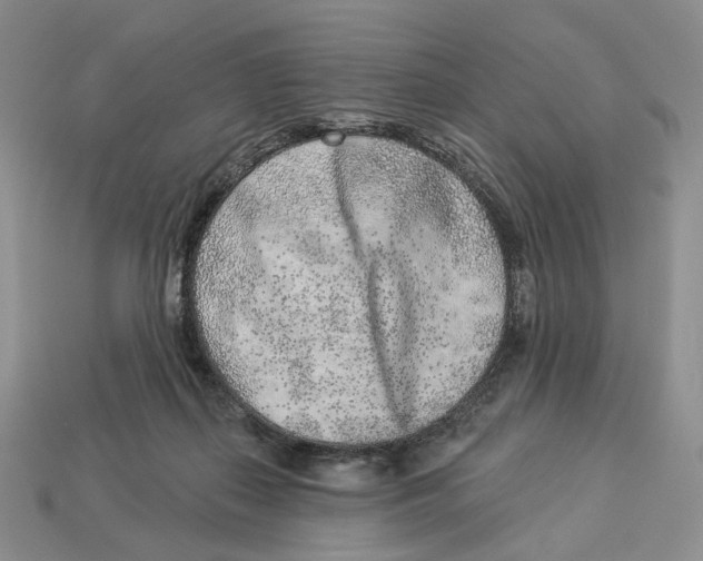 X0000112940267200909211140
