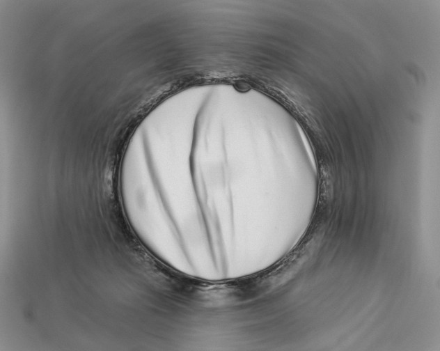 X0000112940269200909211140