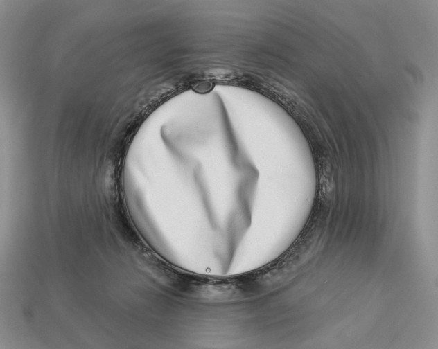 X0000112940270200909211140