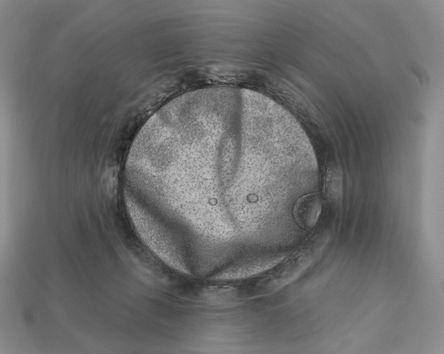 X0000112940271200909211140