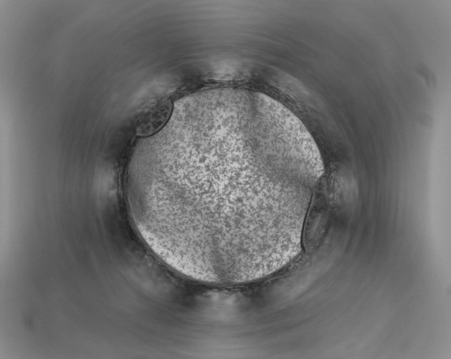 X0000112940272200909211140