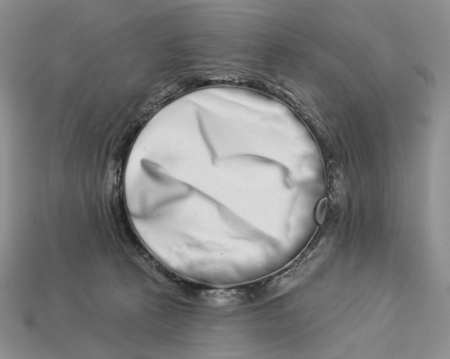 X0000112940273200909211140