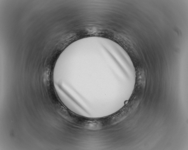 X0000112940275200909211140