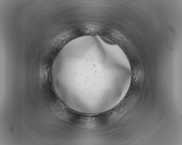 X0000112940276200909211140