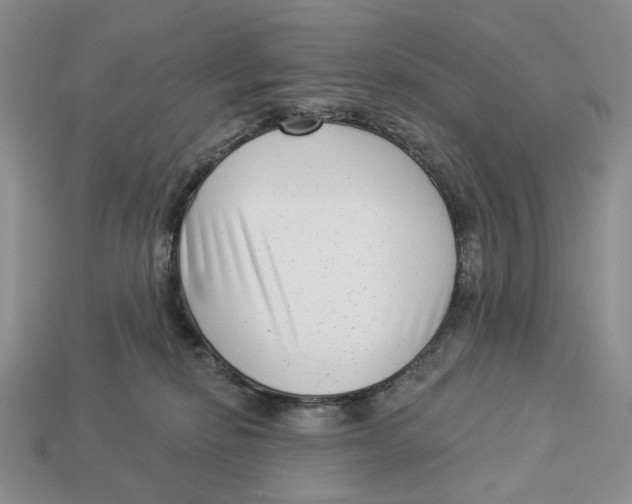 X0000112940278200909211140