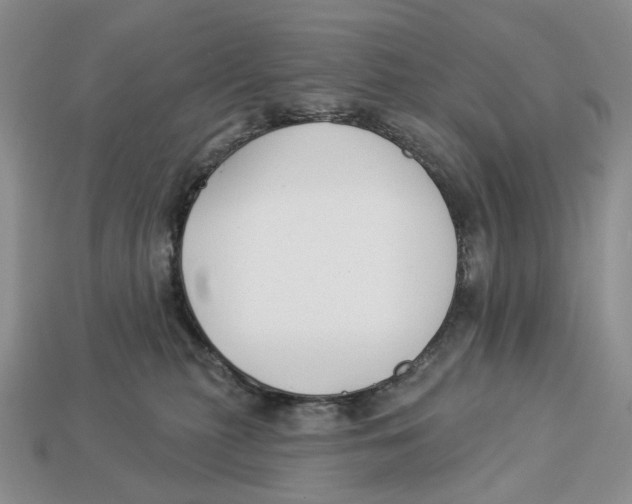 X0000112940279200909211140