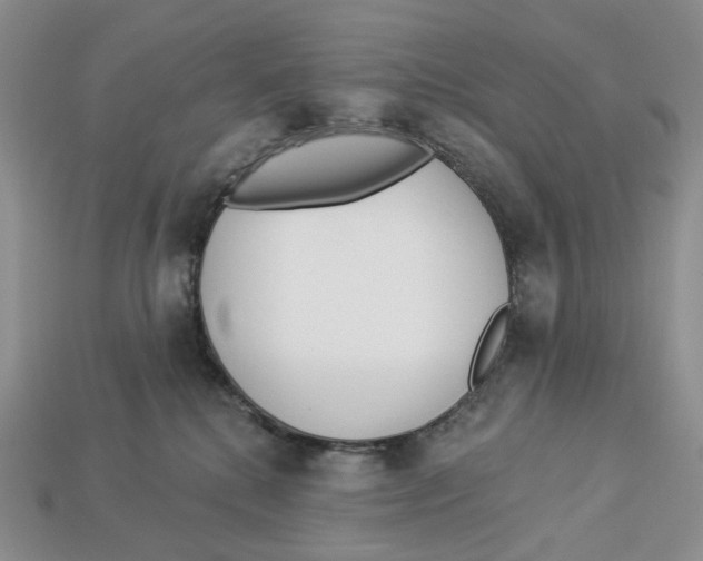 X0000112940280200909211140
