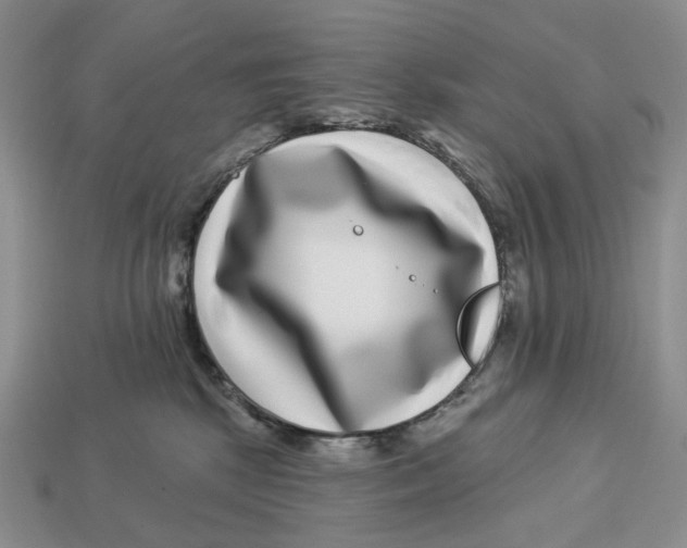 X0000112940281200909211140