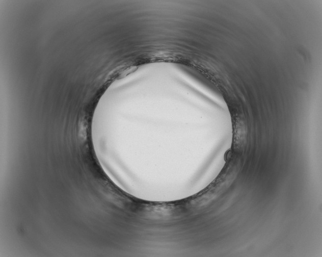 X0000112940282200909211140