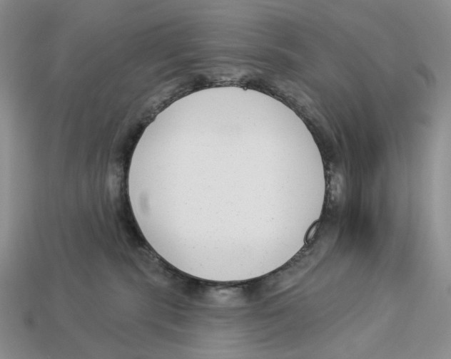 X0000112940283200909211140