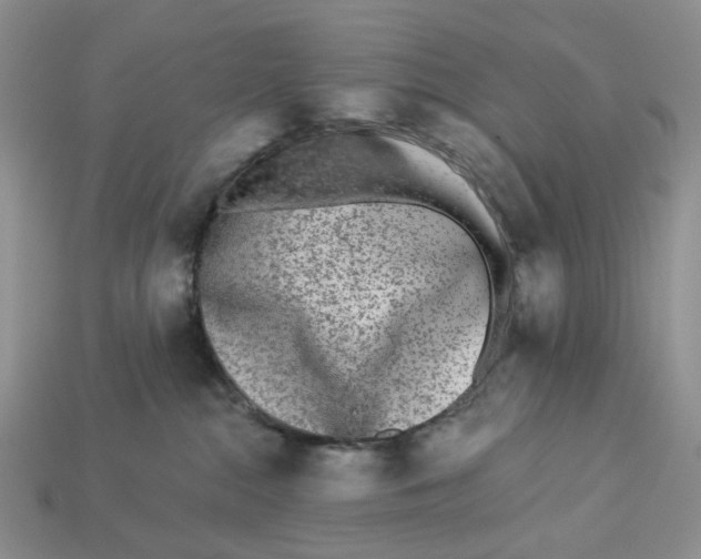X0000112940284200909211140