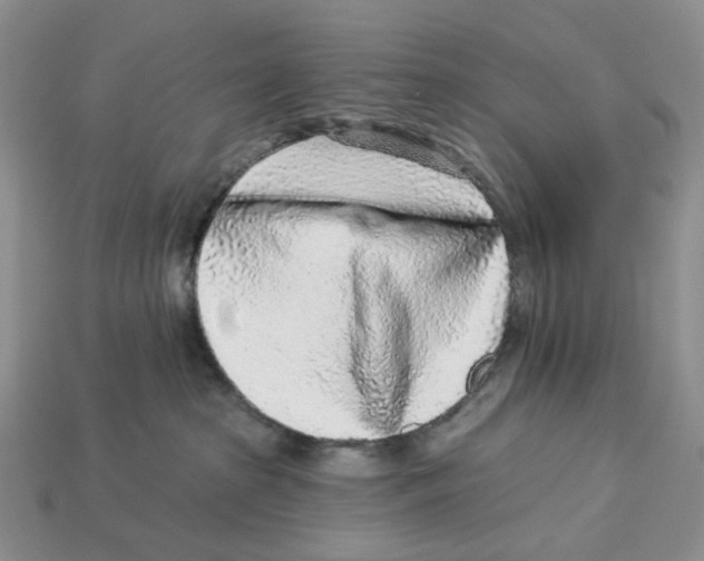 X0000112940285200909211140