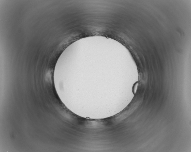 X0000112940286200909211140