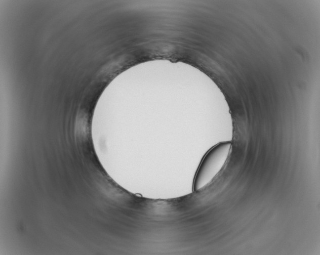 X0000112940287200909211140