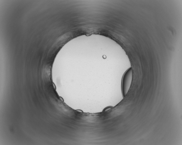 X0000112940288200909211140