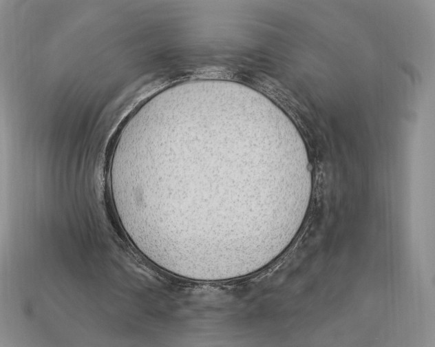 X0000112940290200909211139