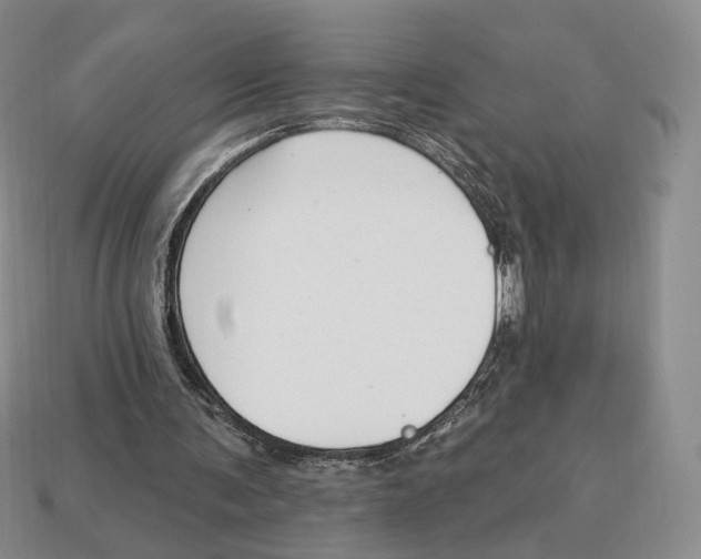 X0000112940291200909211139