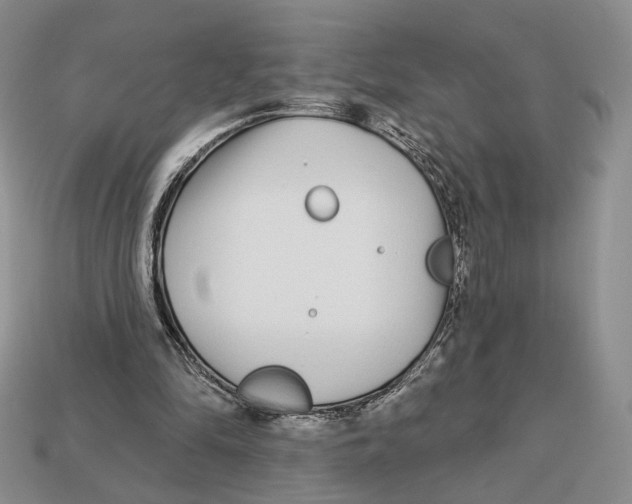 X0000112940294200909211139