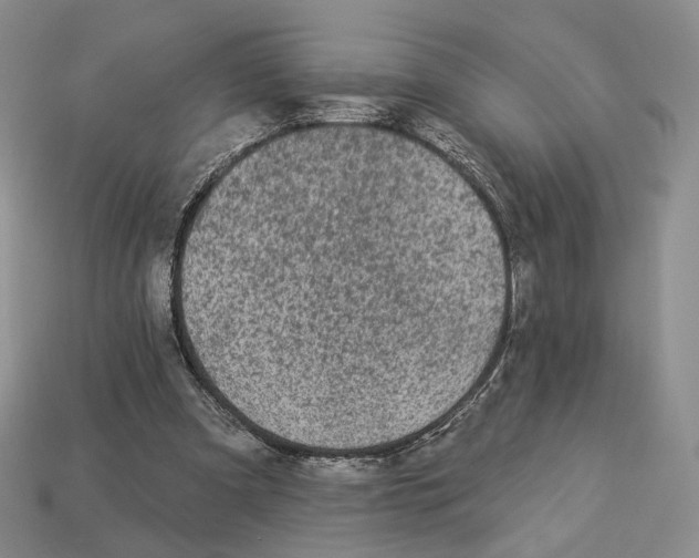 X0000112940297200909211139