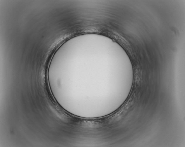 X0000112940298200909211139