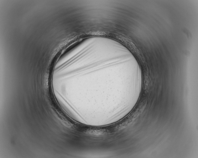 X0000112940299200909211139