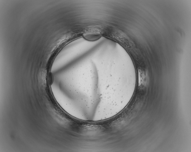 X0000112940300200909211139