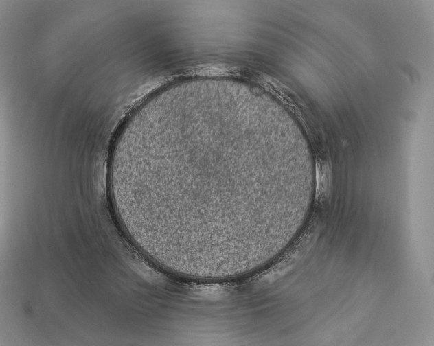 X0000112940301200909211139