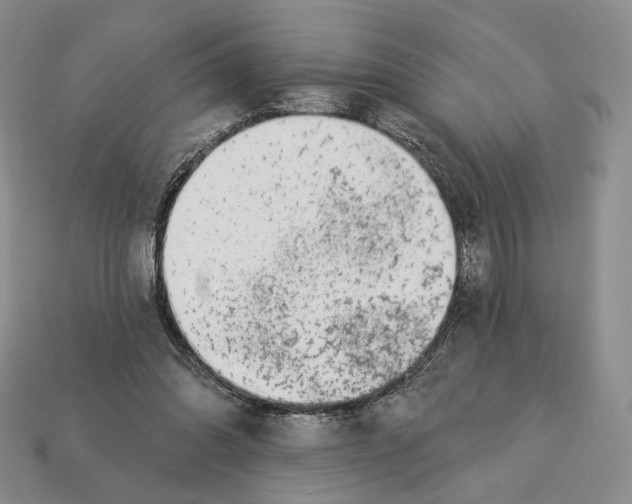 X0000112940302200909211139