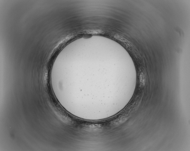 X0000112940304200909211139
