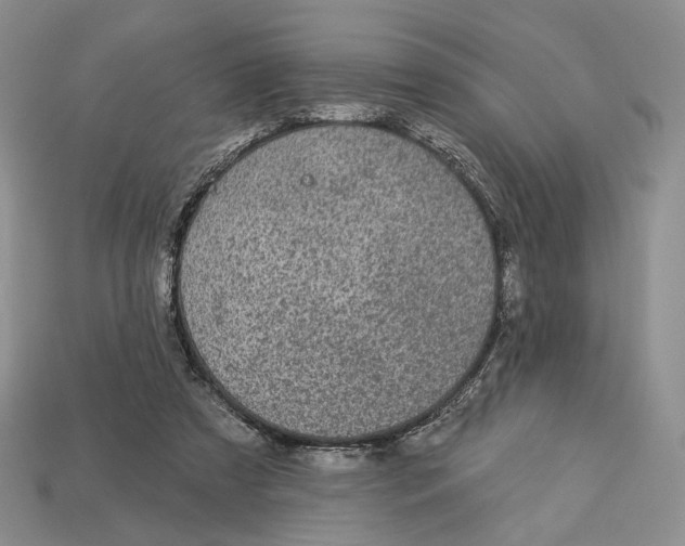 X0000112940305200909211139