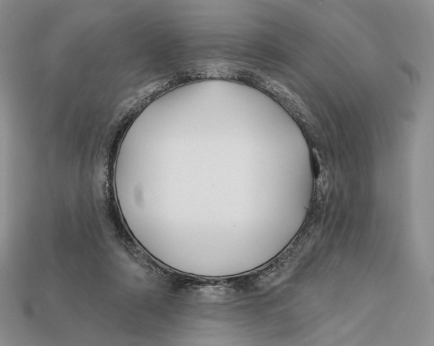 X0000112940306200909211139