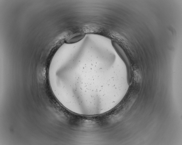 X0000112940308200909211139