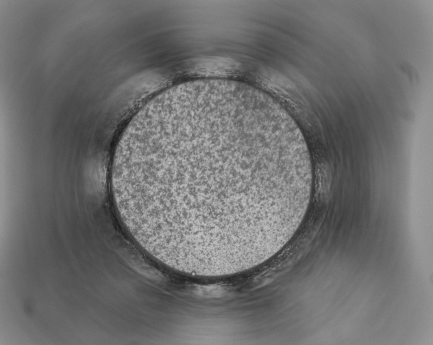 X0000112940309200909211139