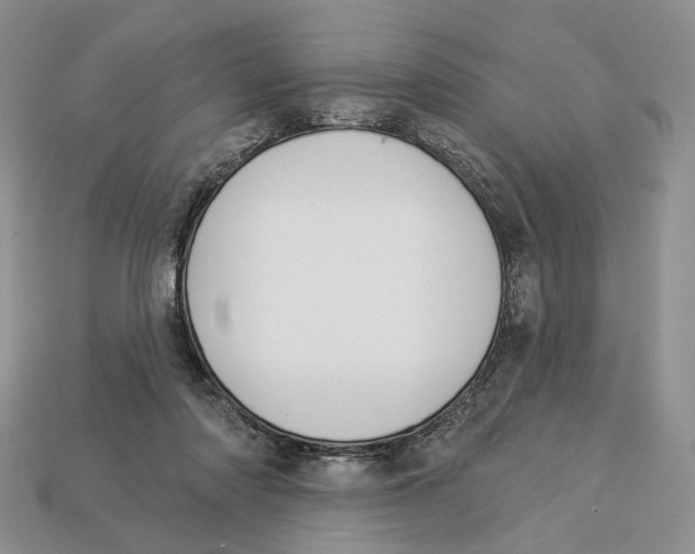 X0000112940310200909211139