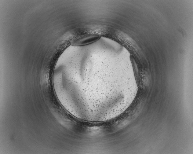 X0000112940312200909211139
