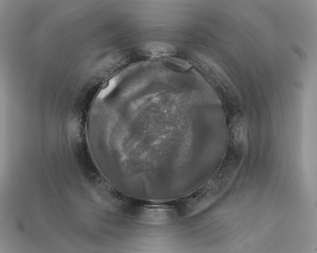 X0000112940316200909211139