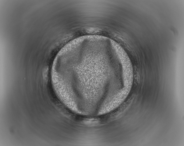 X0000112940319200909211139